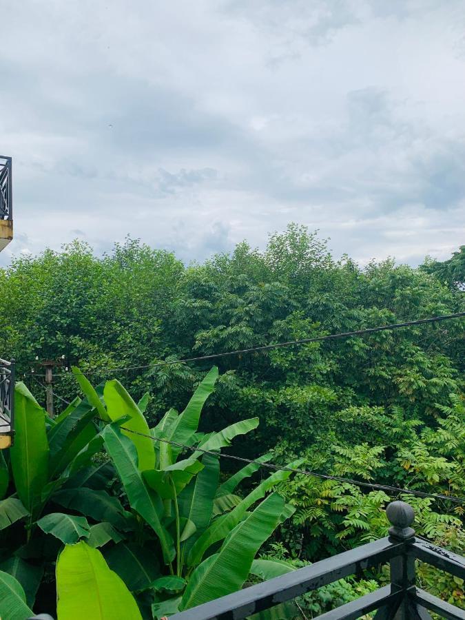 Wonderland Hotel Chakvi Kültér fotó