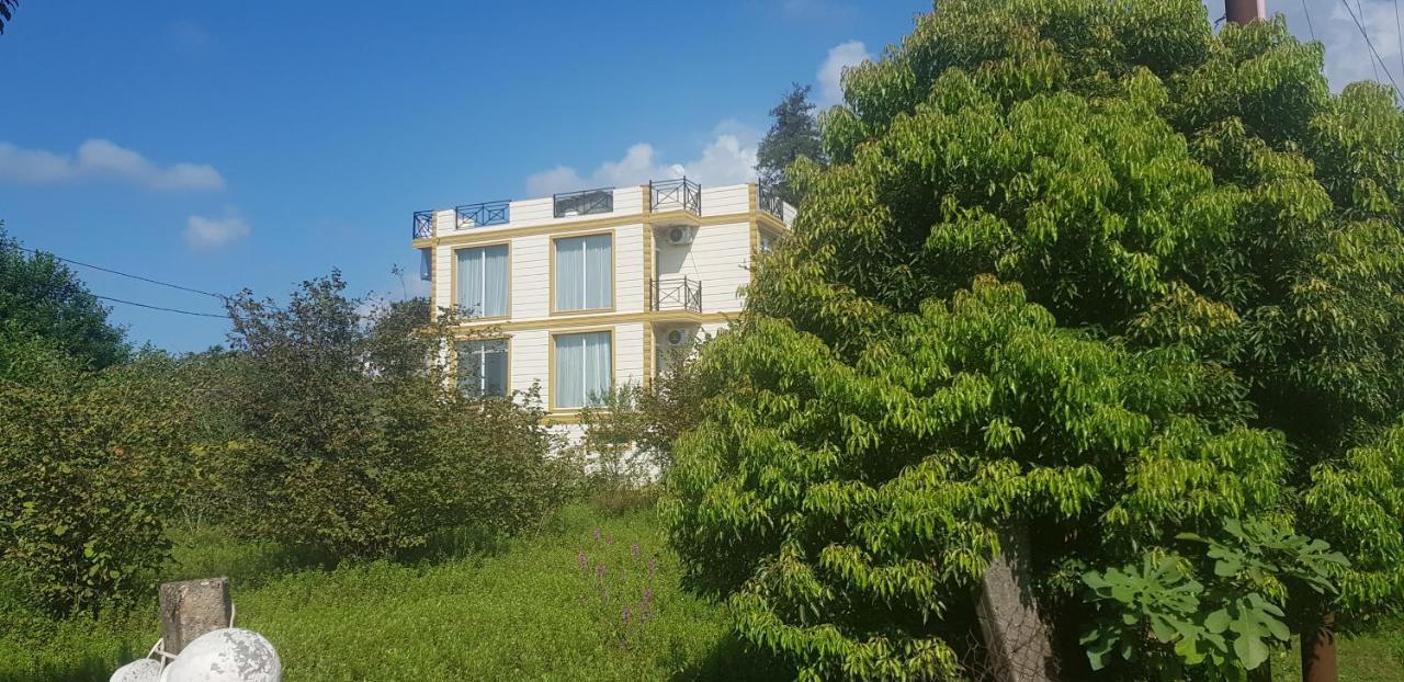 Wonderland Hotel Chakvi Kültér fotó