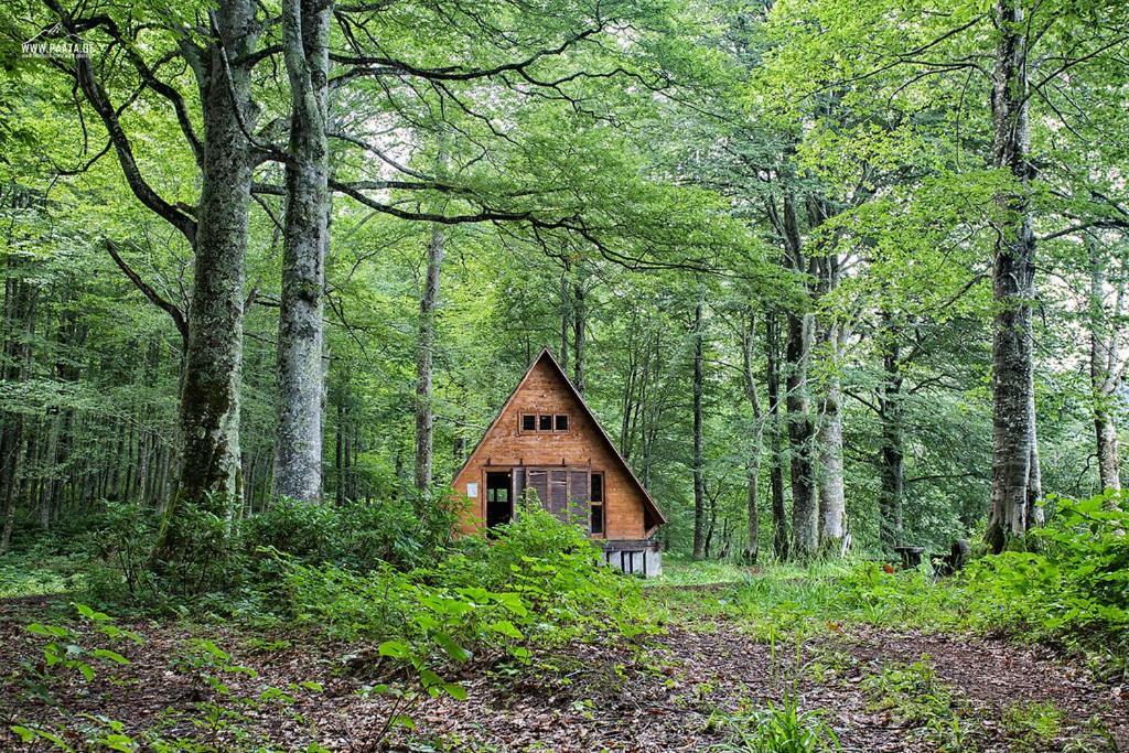 Wonderland Hotel Chakvi Kültér fotó